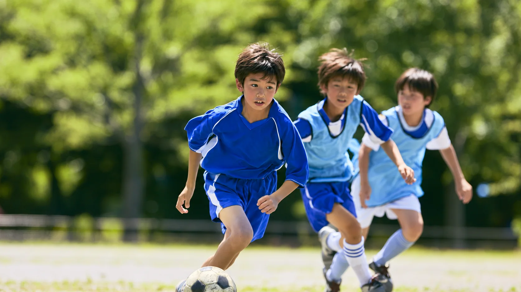 ボールを追って芝生のグラウンドを走る、サッカーのユニフォームの子どもたち